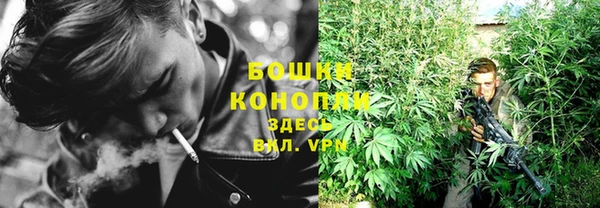прущие грибы Арсеньев