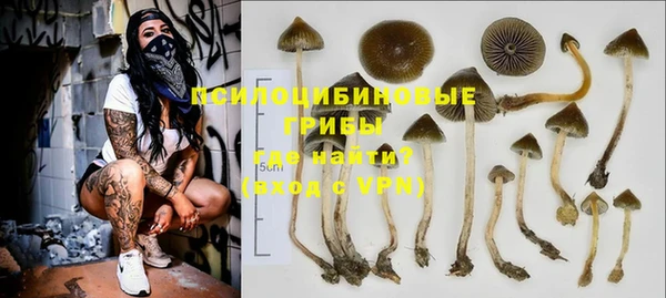 ALPHA PVP Алексин