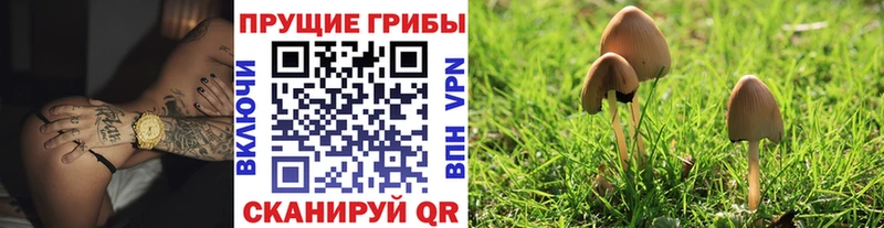 Галлюциногенные грибы мицелий  Георгиевск 